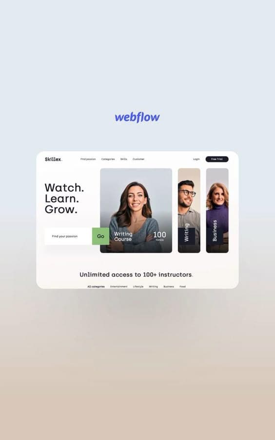 Would you like some great user experience, Sir or Madam? ❣To fully explore all our new web designs, check out our profile on Webflow! We introduce our interactive web design for Skillex.This platform is a place to learn from world-leading experts in their field. 📫 Mail us if you need to design a custom website